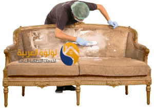 شركة تنظيف كنب بالرس