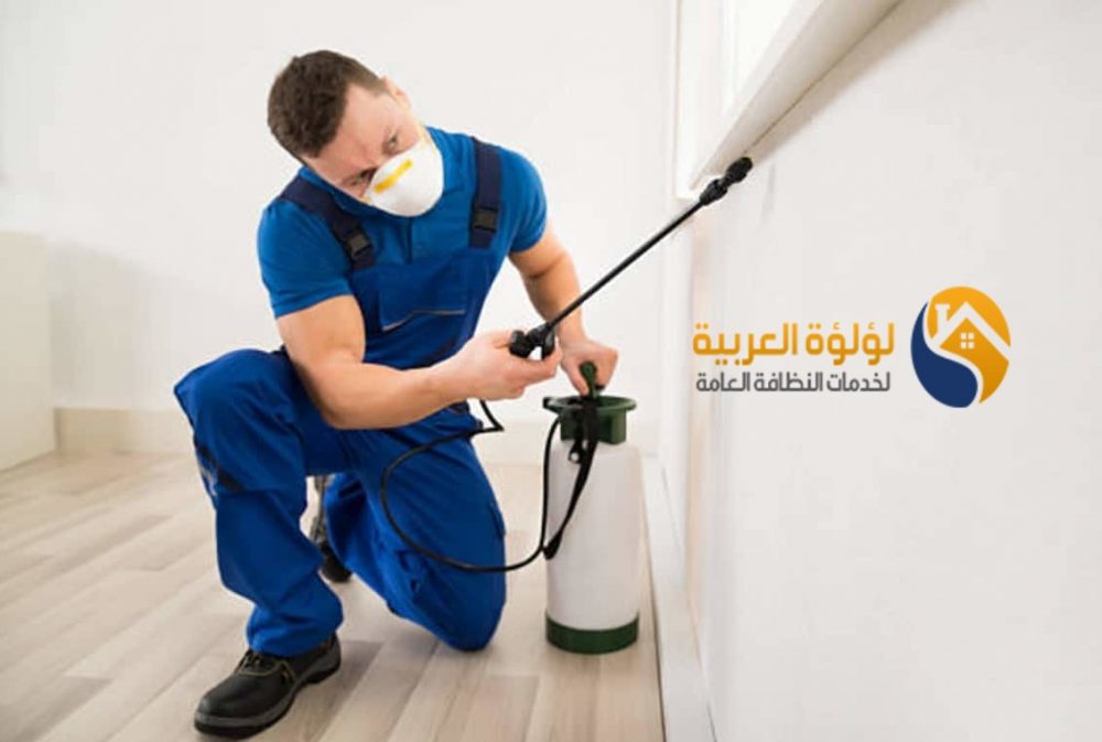 شركة مكافحة حشرات ببريدة