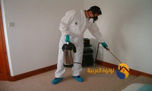 افضل شركة مكافحة حشرات بالقصيم