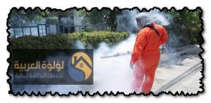 أفضل شركة مكافحة حشرات الزلفي