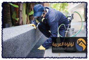 شركة رش مبيدات بعيون الجواء