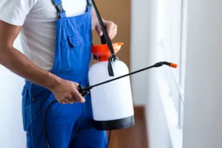 شركة مكافحة حشرات وقوارض بالبكيرية 0537979574