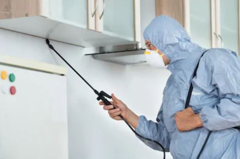 لؤلؤة العربية 0537979574 افضل شركة إبادة حشرات بالقصيم